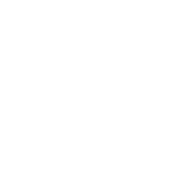 dallasSeva